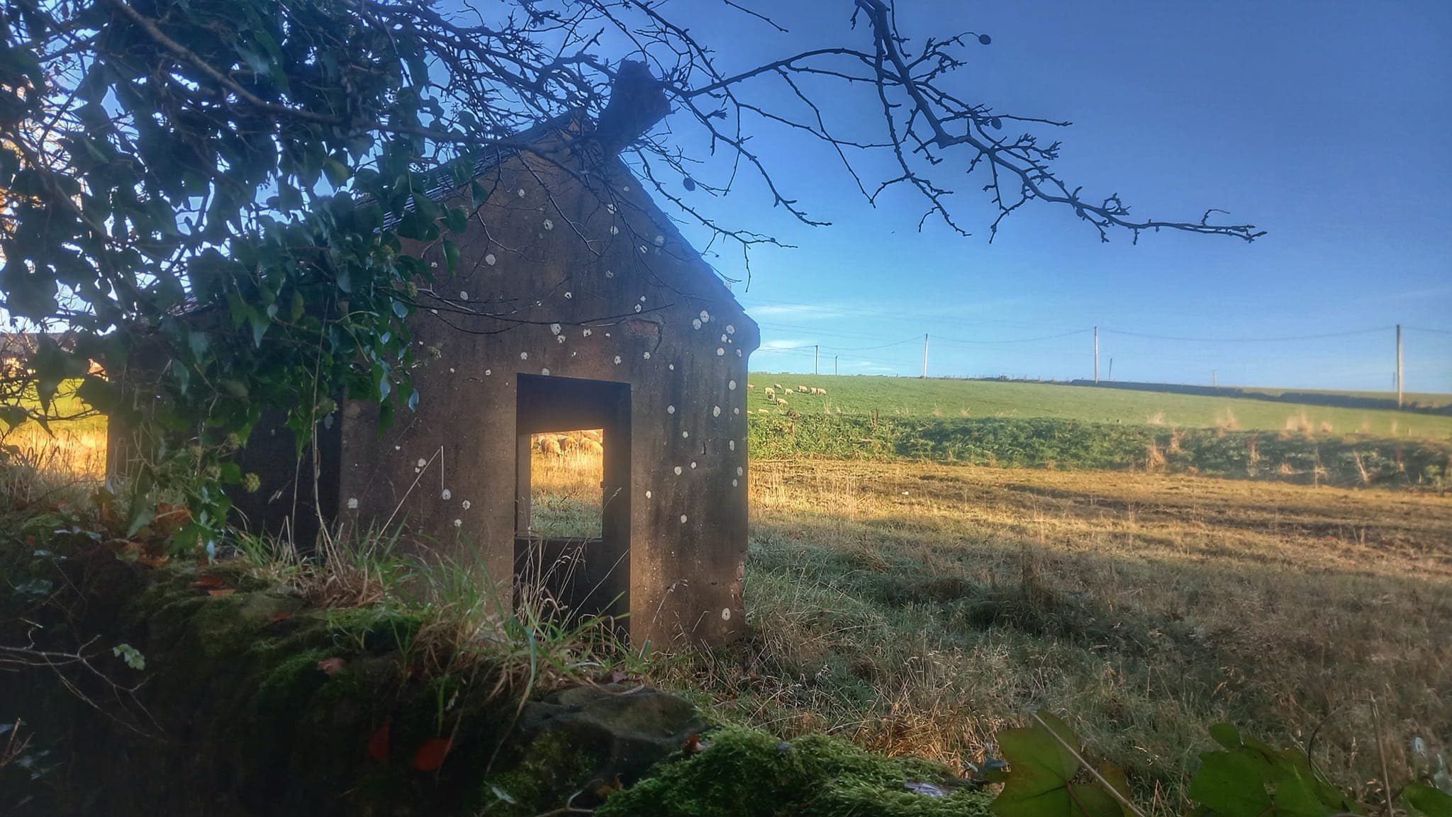 The%20Trossachs%20from%20West%20Highland%20Way