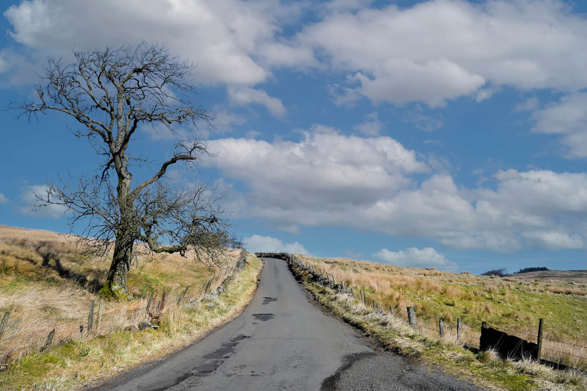 The%20Trossachs%20from%20West%20Highland%20Way